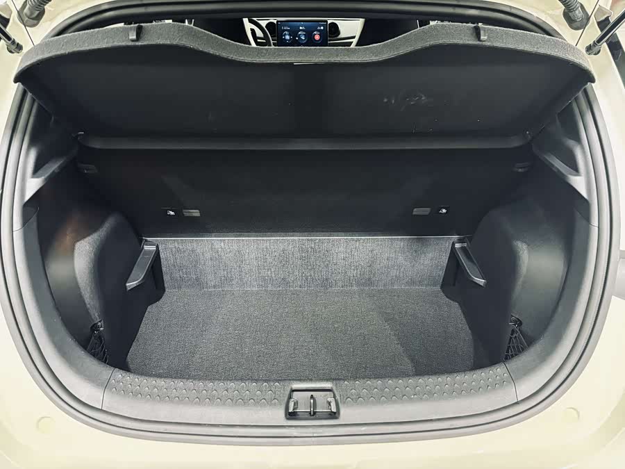 BYD Dolphin 2024 imagem de carro #23