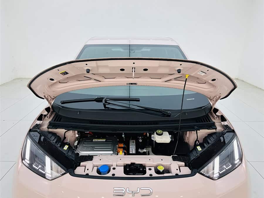 BYD Seagull 2024 car image #23