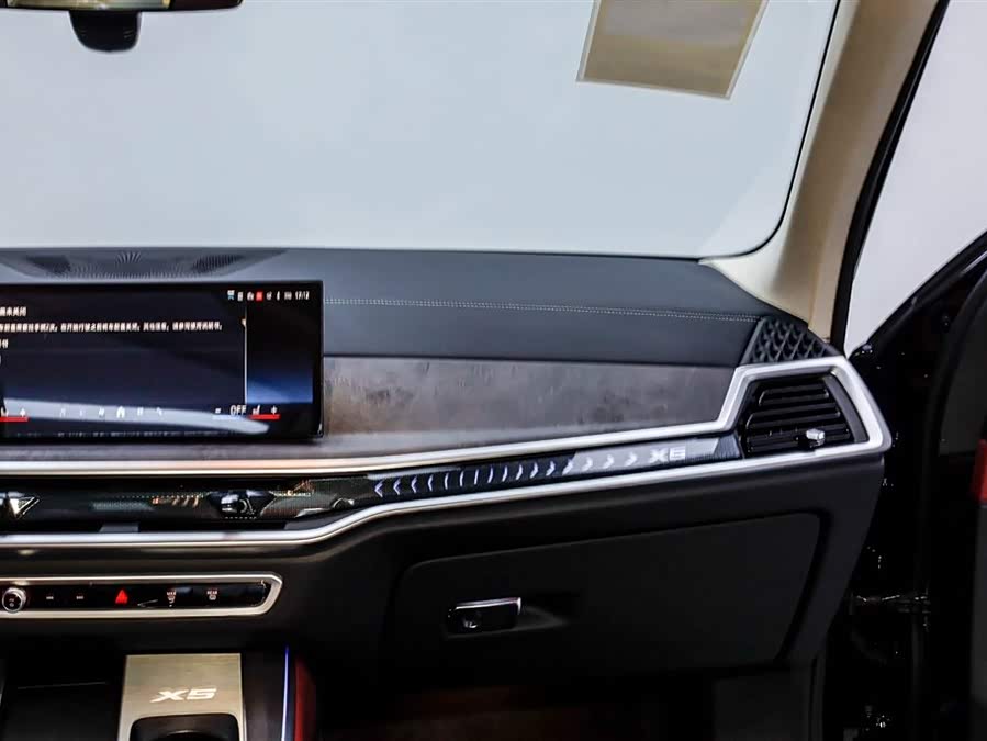 BMW X5 2026 immagine di auto #23