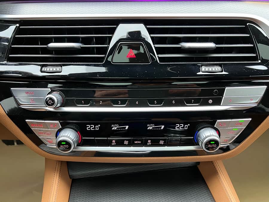 BMW 5 Series (Imported) 2022 car image #23