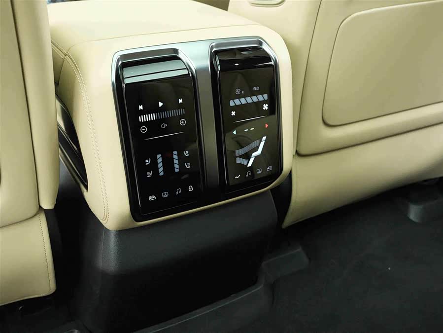 FangChengBao Leopard 8 2024 immagine di auto #23