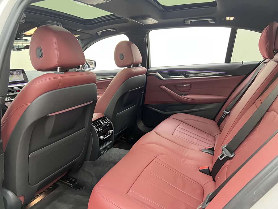 BMW 5 Series 2019 car image #23