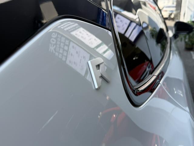 极氪 极氪001 FR 2023 汽车图片 #23