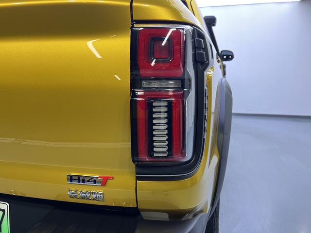 Great Wall Shanhai Pao Hi4-T 2025 car image #23