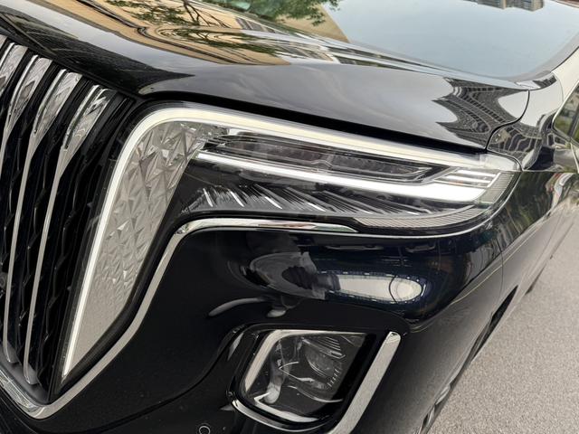 HongQi HQ9 2023 car image #23