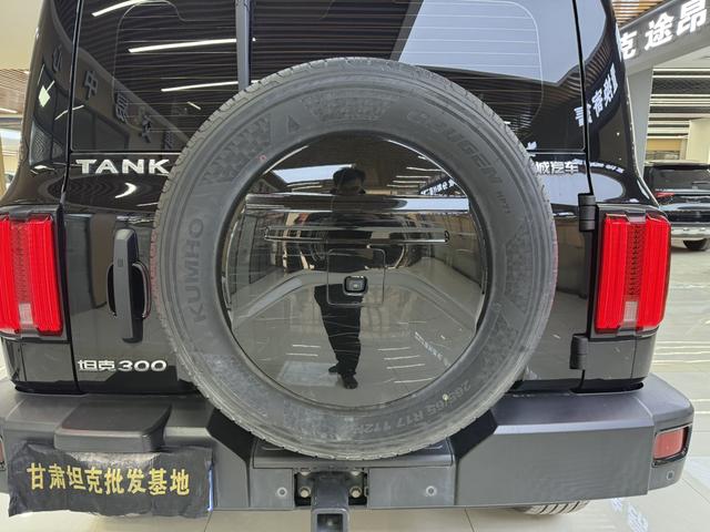 Tank 300 2022 #23 Tank 300 2022 صورة سيارة #23