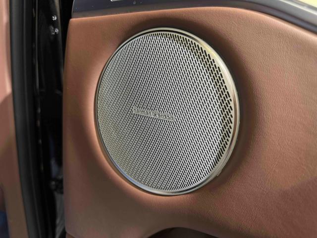 Tank 700 New Energy 2024 immagine di auto #23