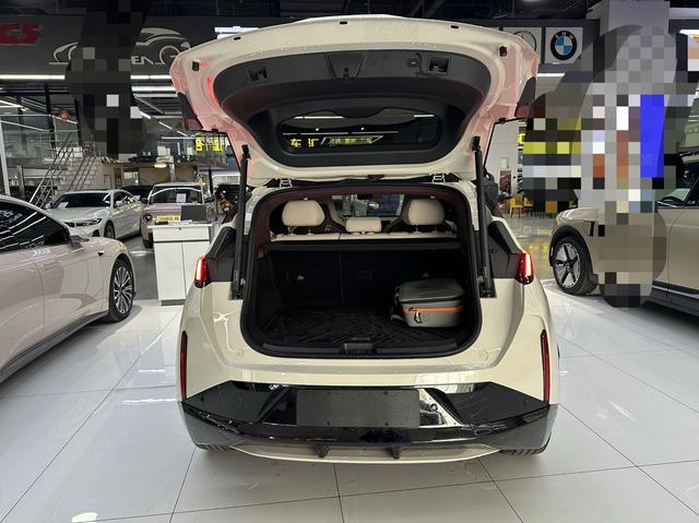 极氪 极氪X 2023 汽车图片 #23