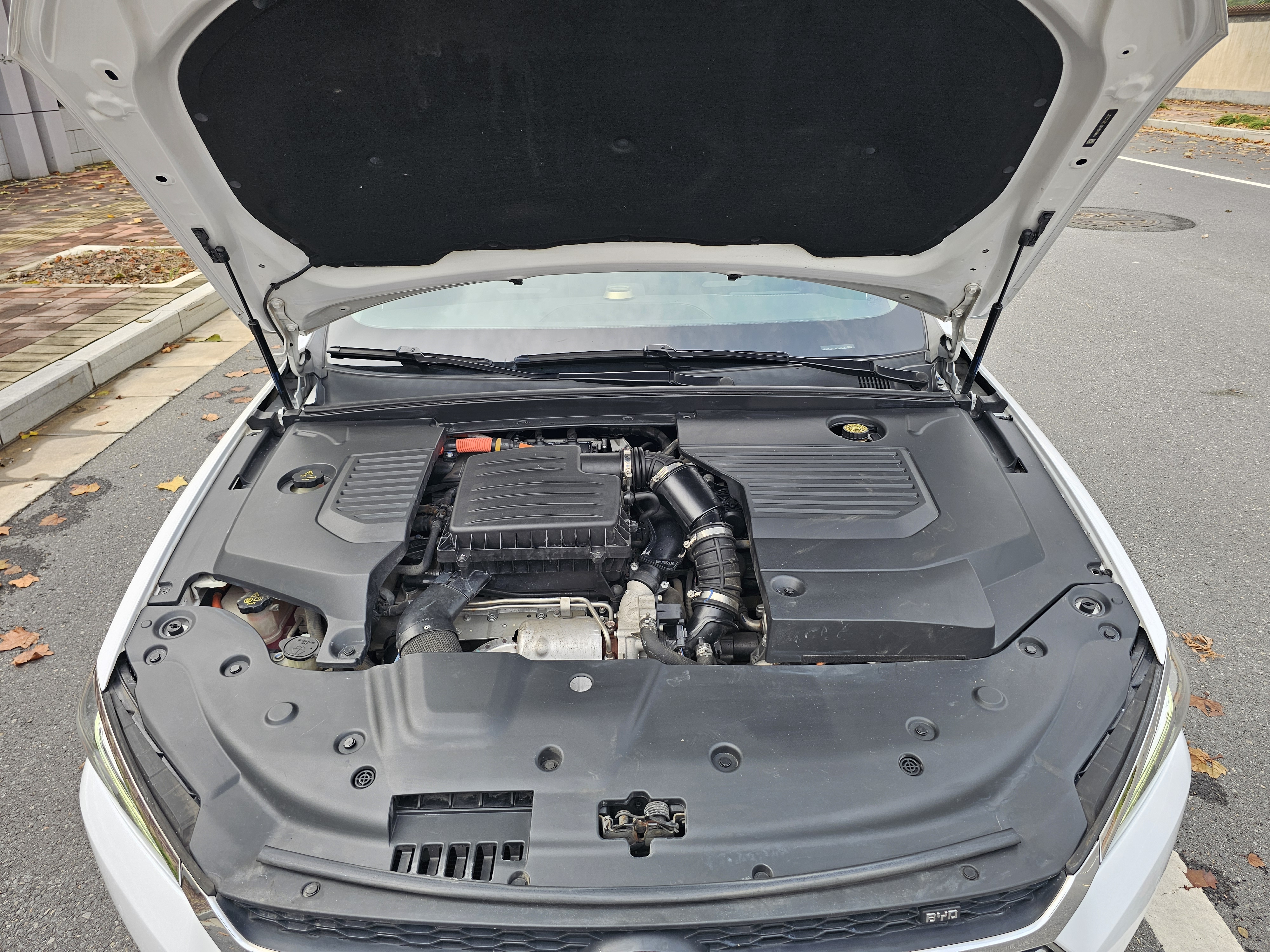 BYD Qin Pro New Energy 2019 #23 BYD Qin Pro New Energy 2019 car image #23