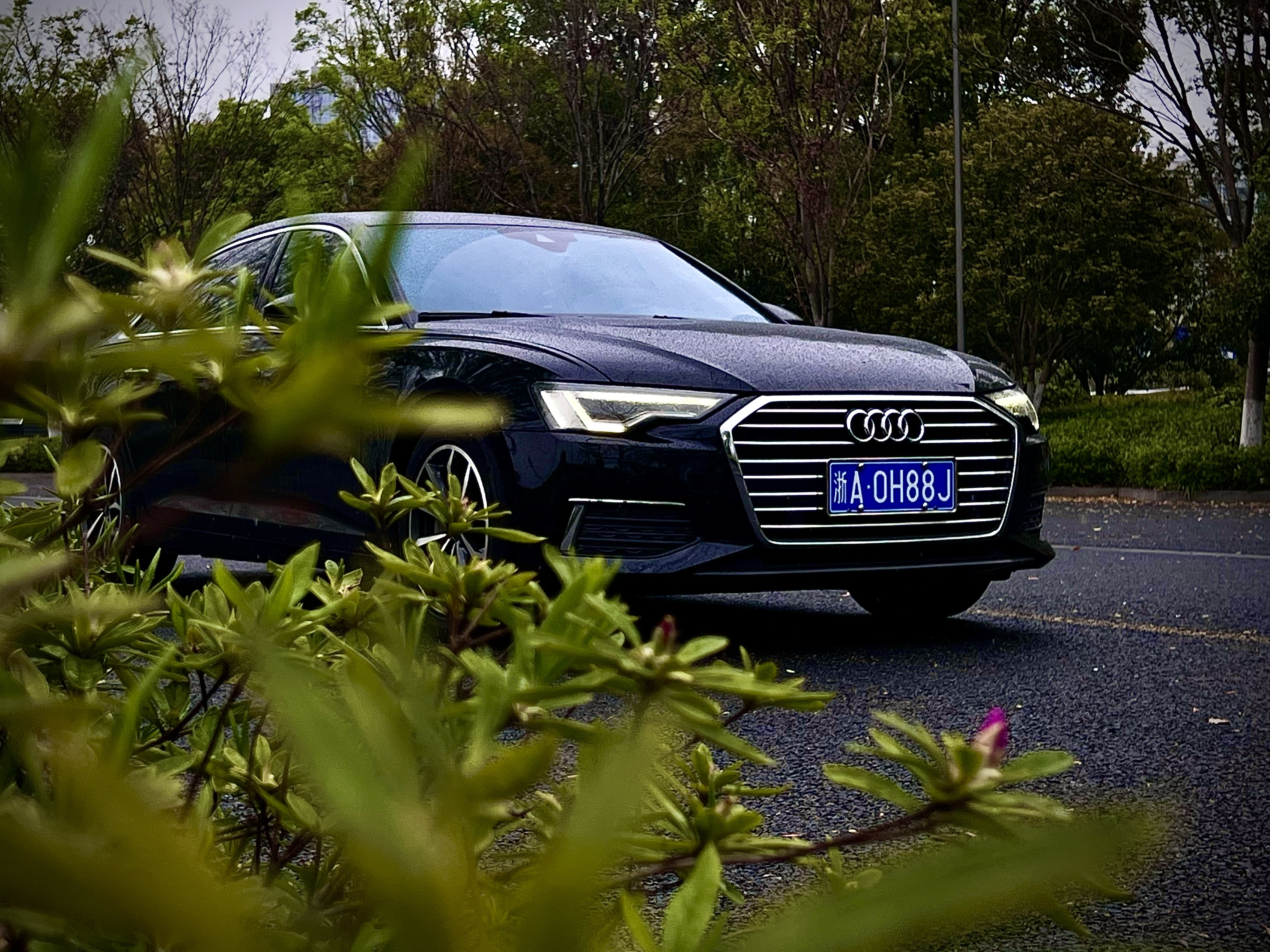Audi A6L 2020 imagen de coche #23