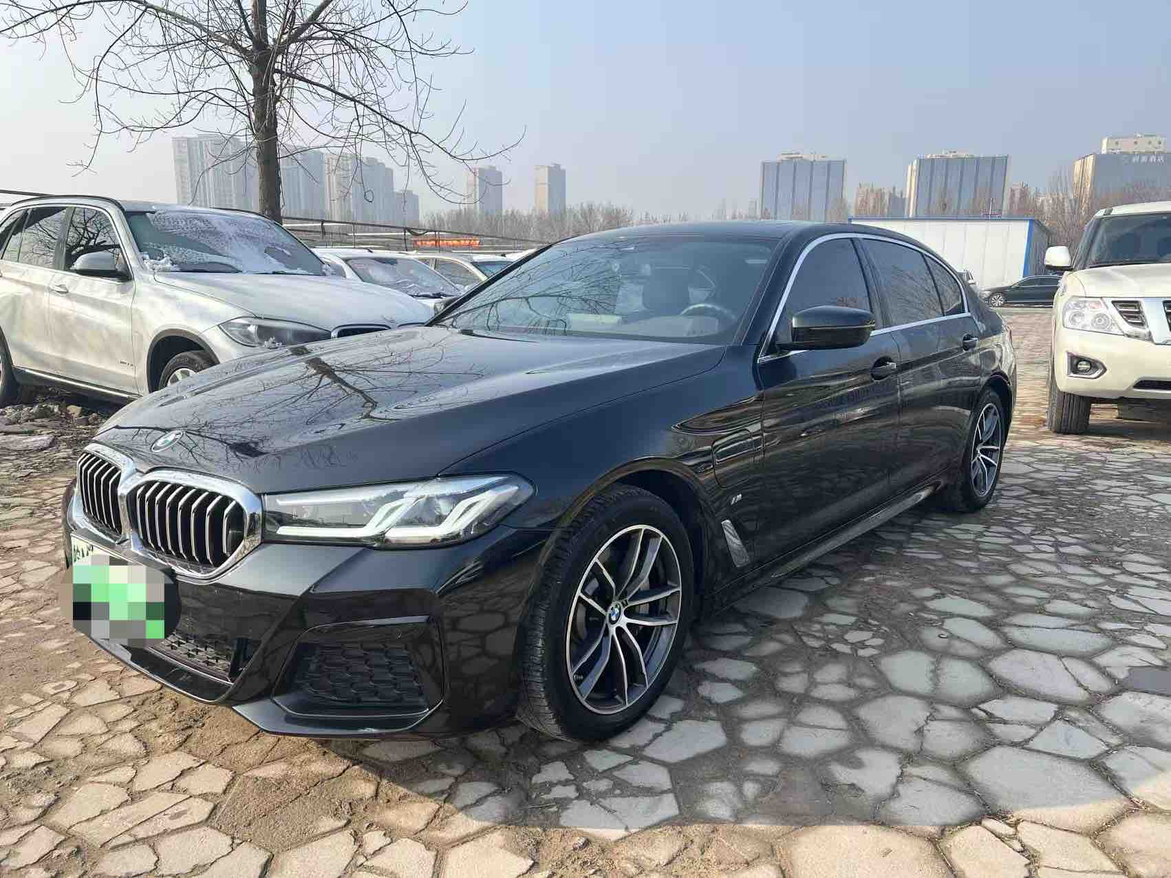 BMW 5 Series New Energy 2021 car image #23