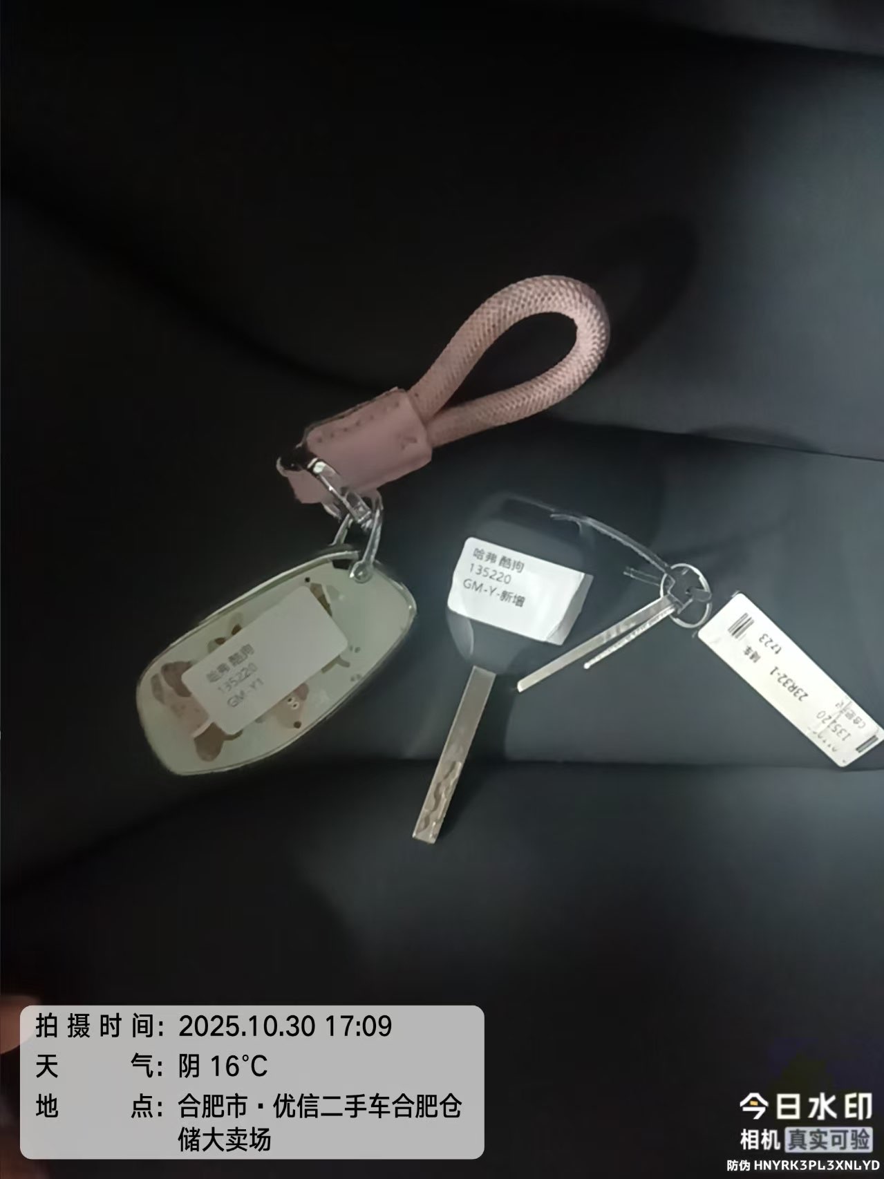 Haval Dargo 2022 car image #23