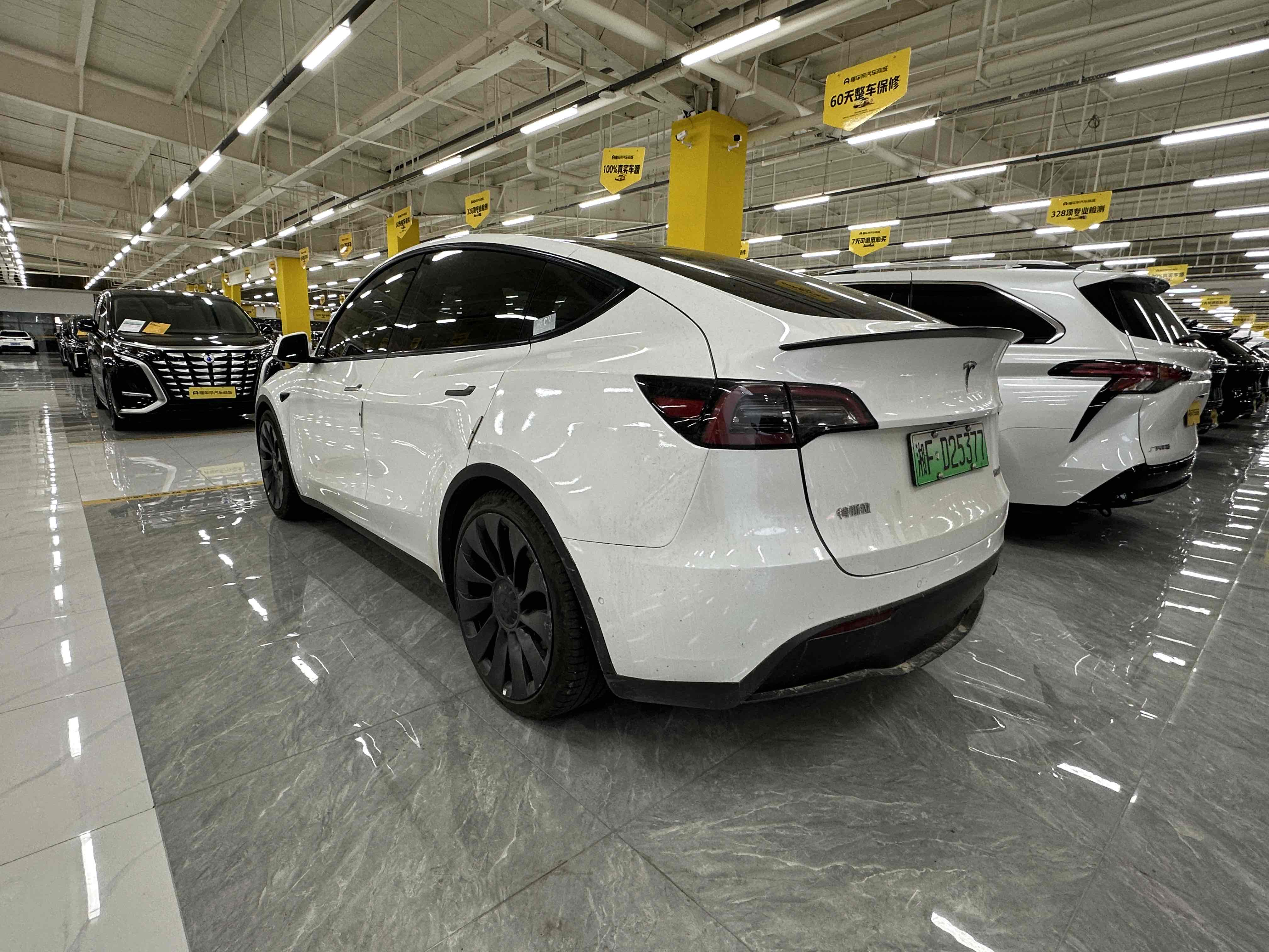 Tesla Model Y 2023 #23 Tesla Model Y 2023 car image #23