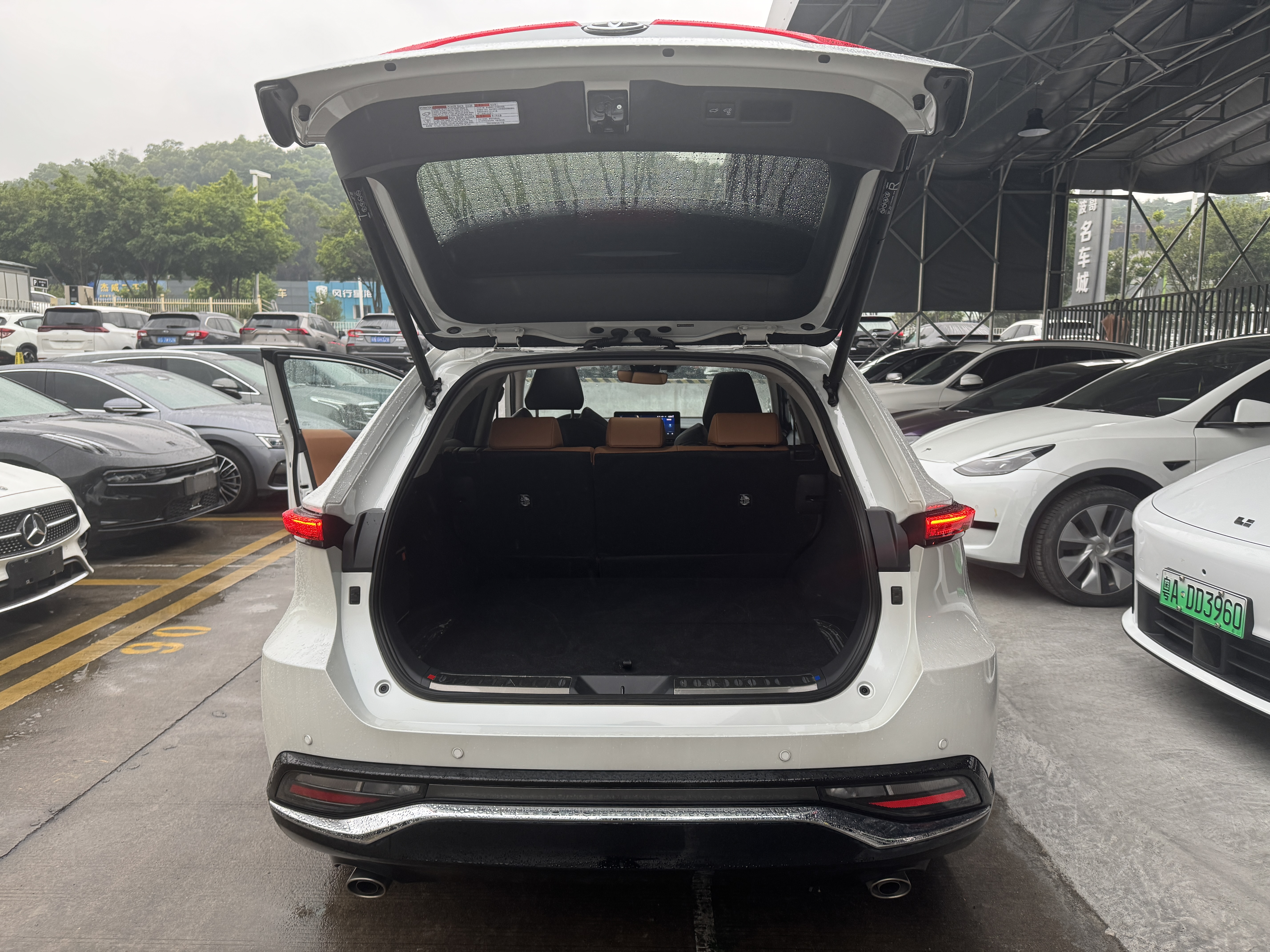 Toyota Venza 2024 immagine di auto #23