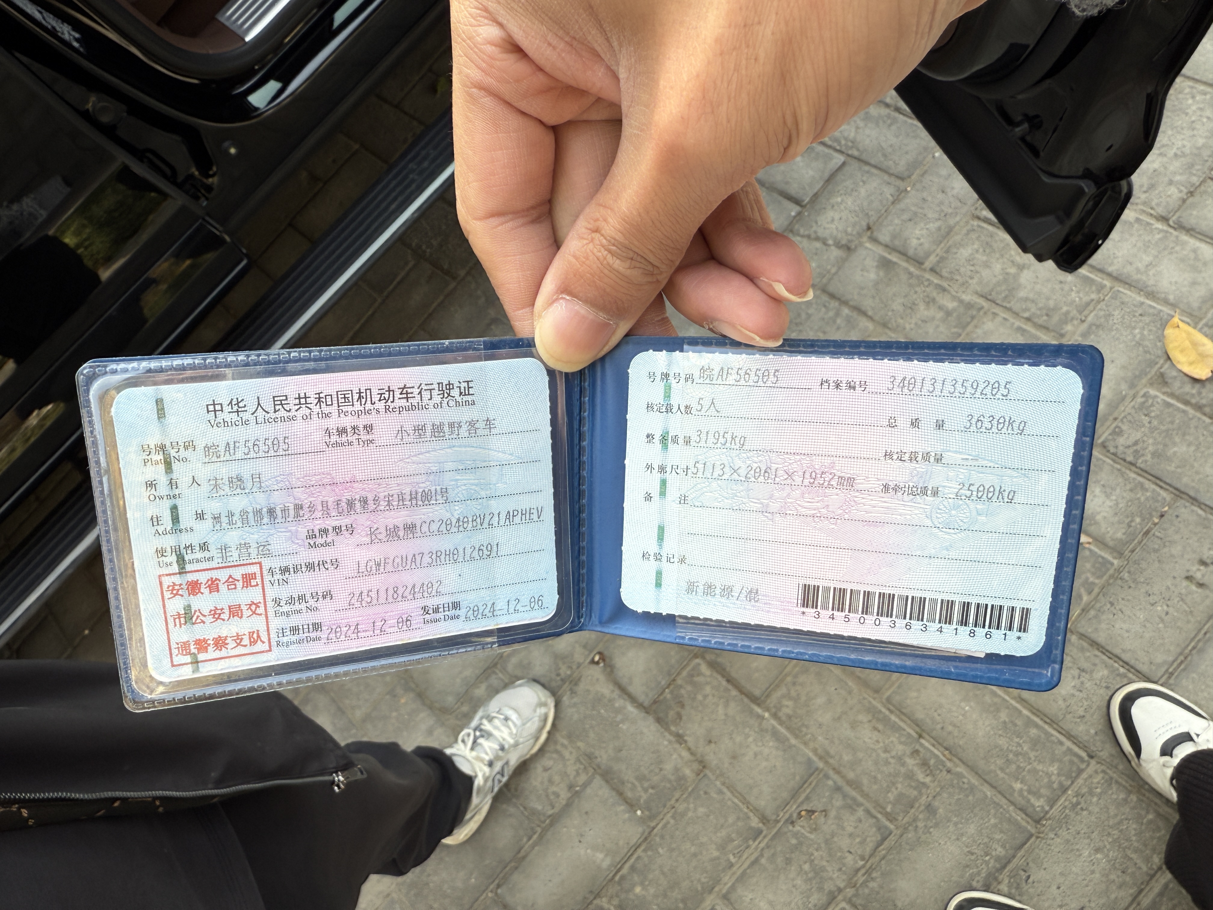 Tank 700 New Energy 2024 immagine di auto #23