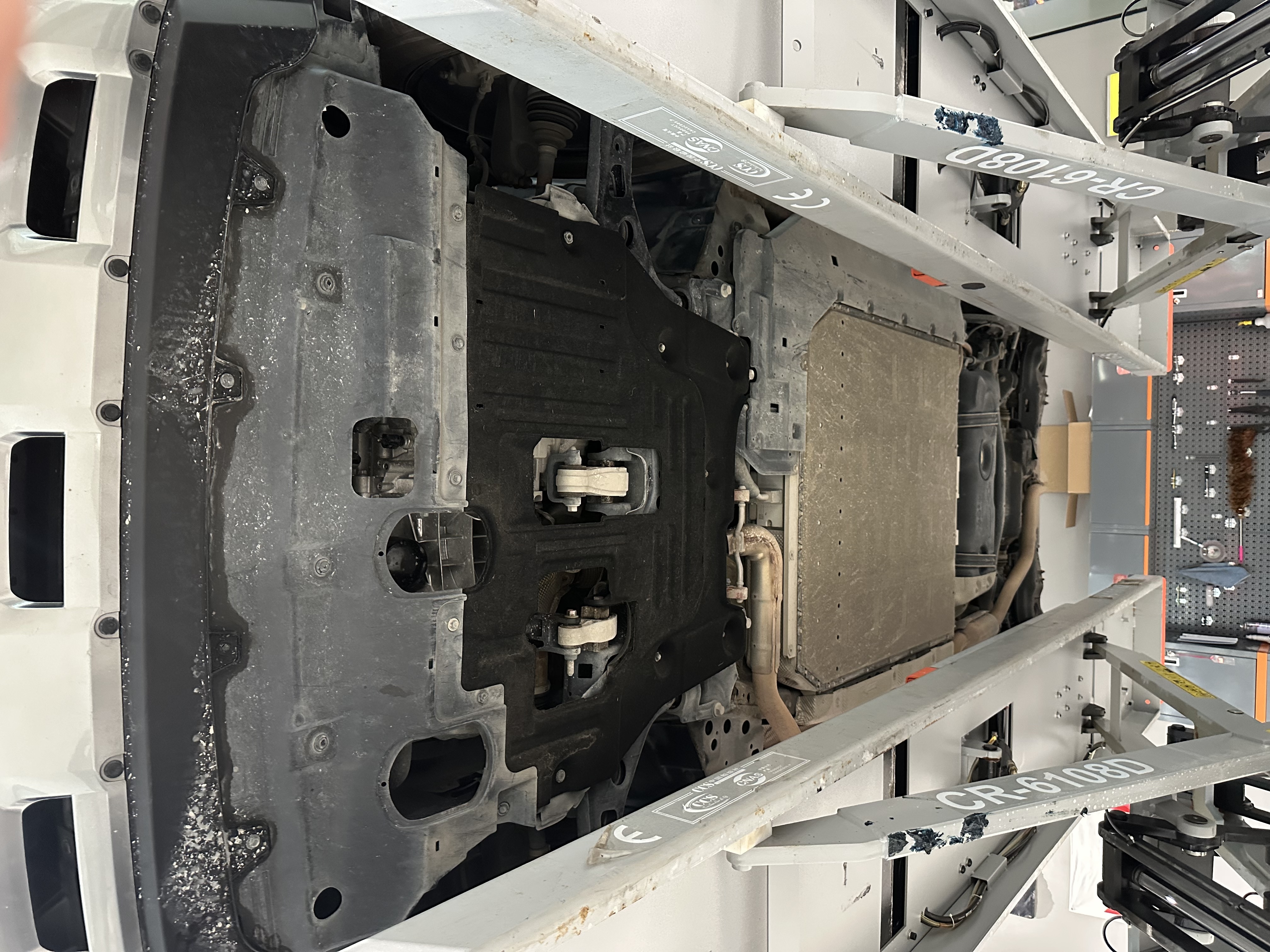 Haval Raptor 2024 immagine di auto #23