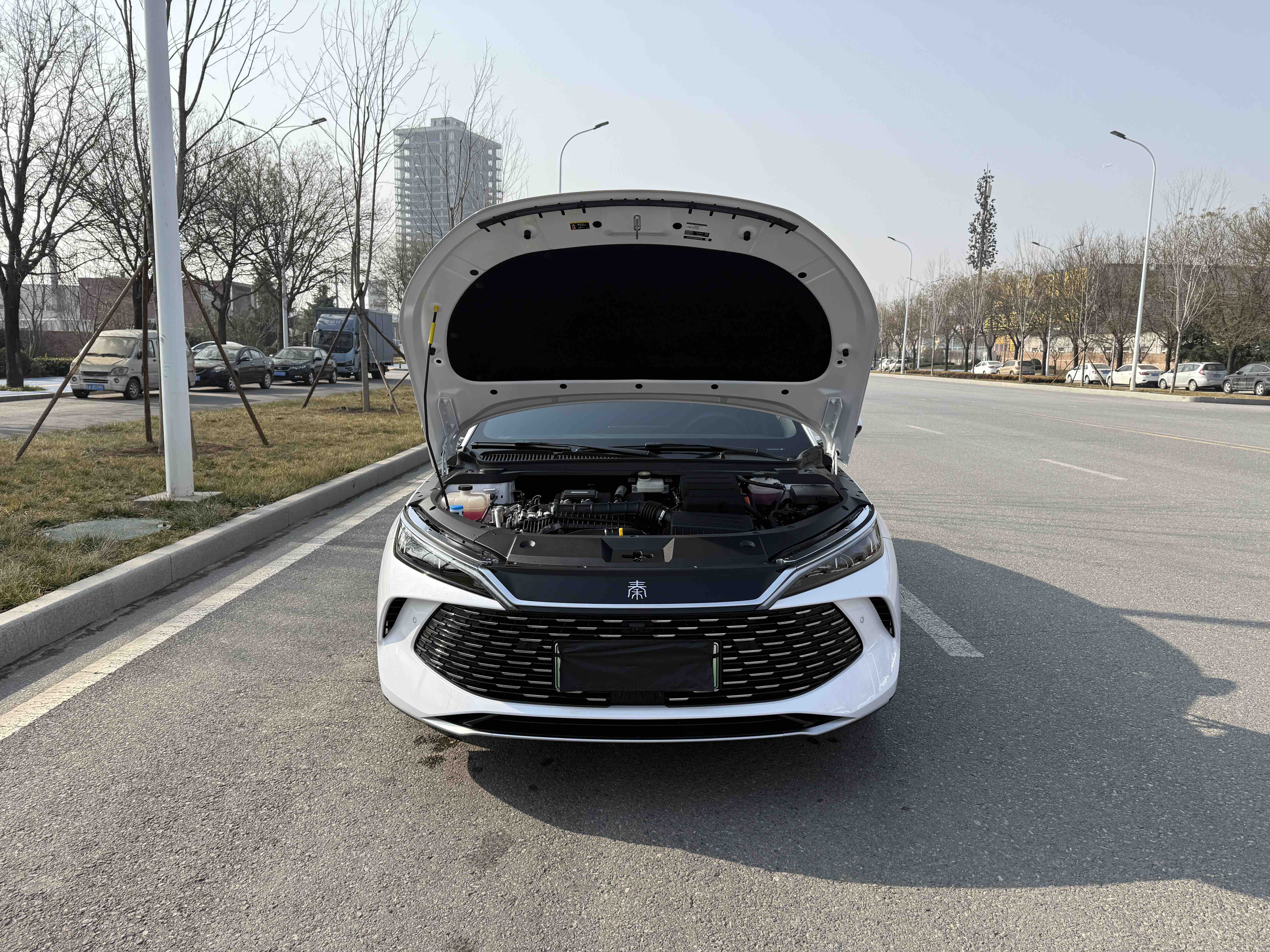 BYD Qin L 2025 car image #23