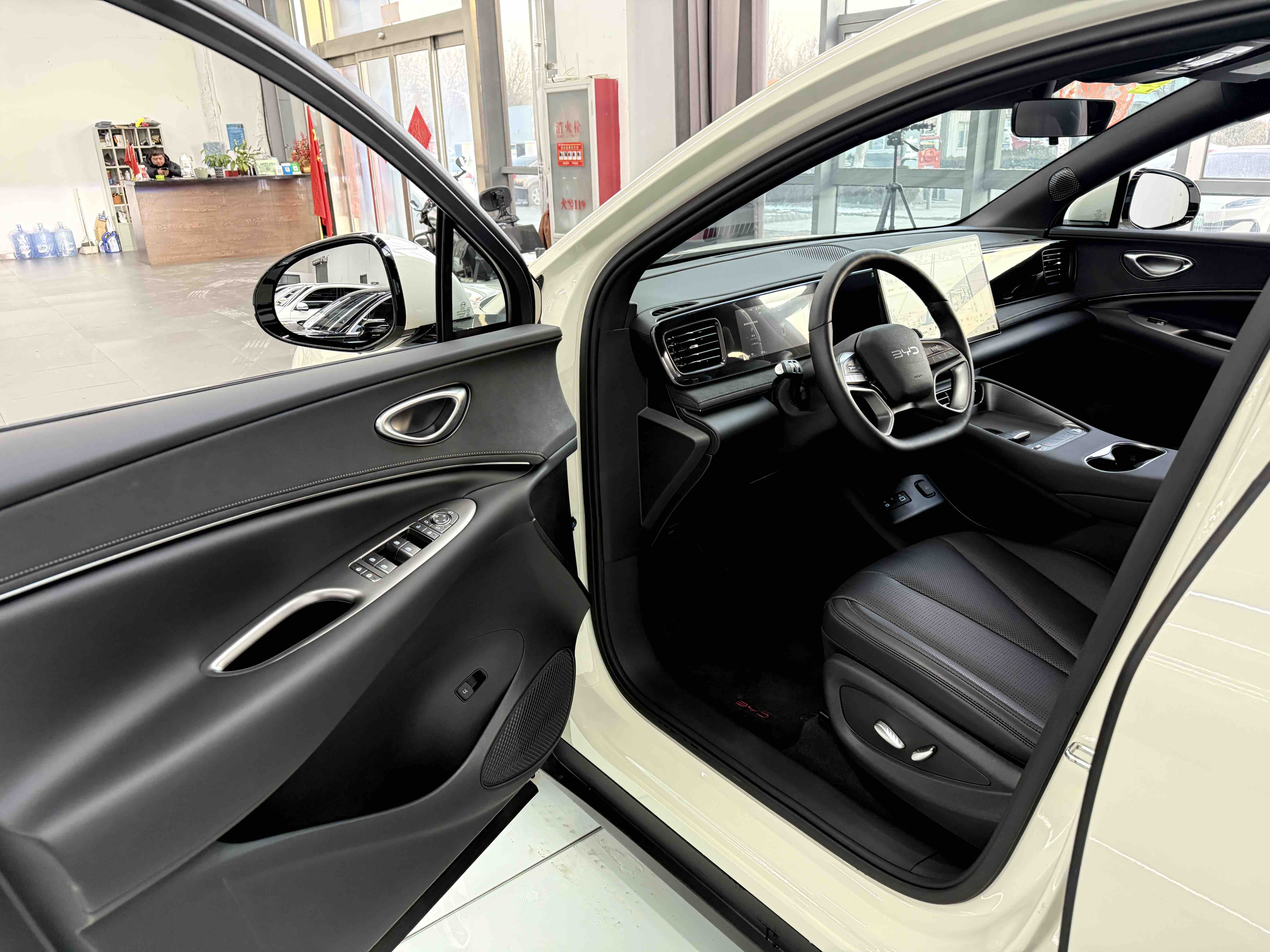 BYD Sea Lion 06 New Energy 2025 car image #23