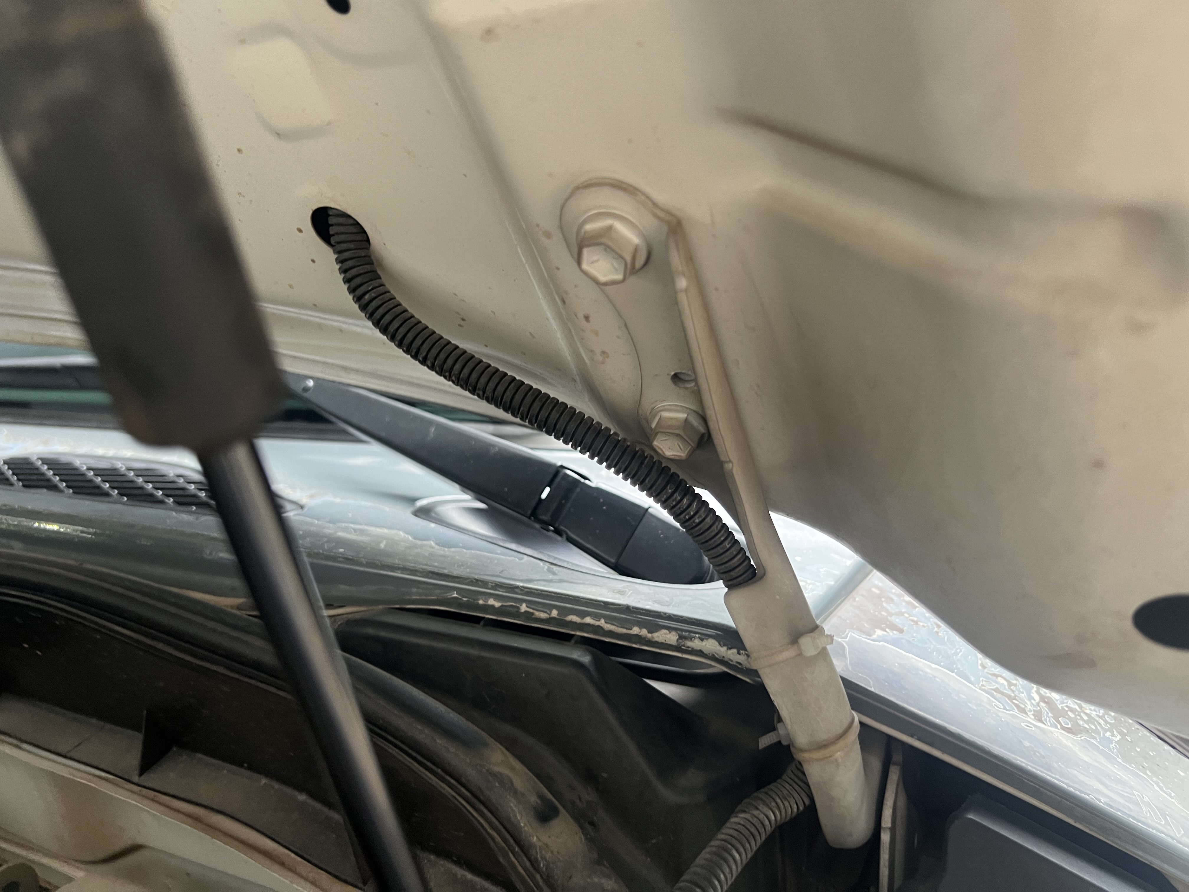 Toyota FJ Cruiser 2018 immagine di auto #23