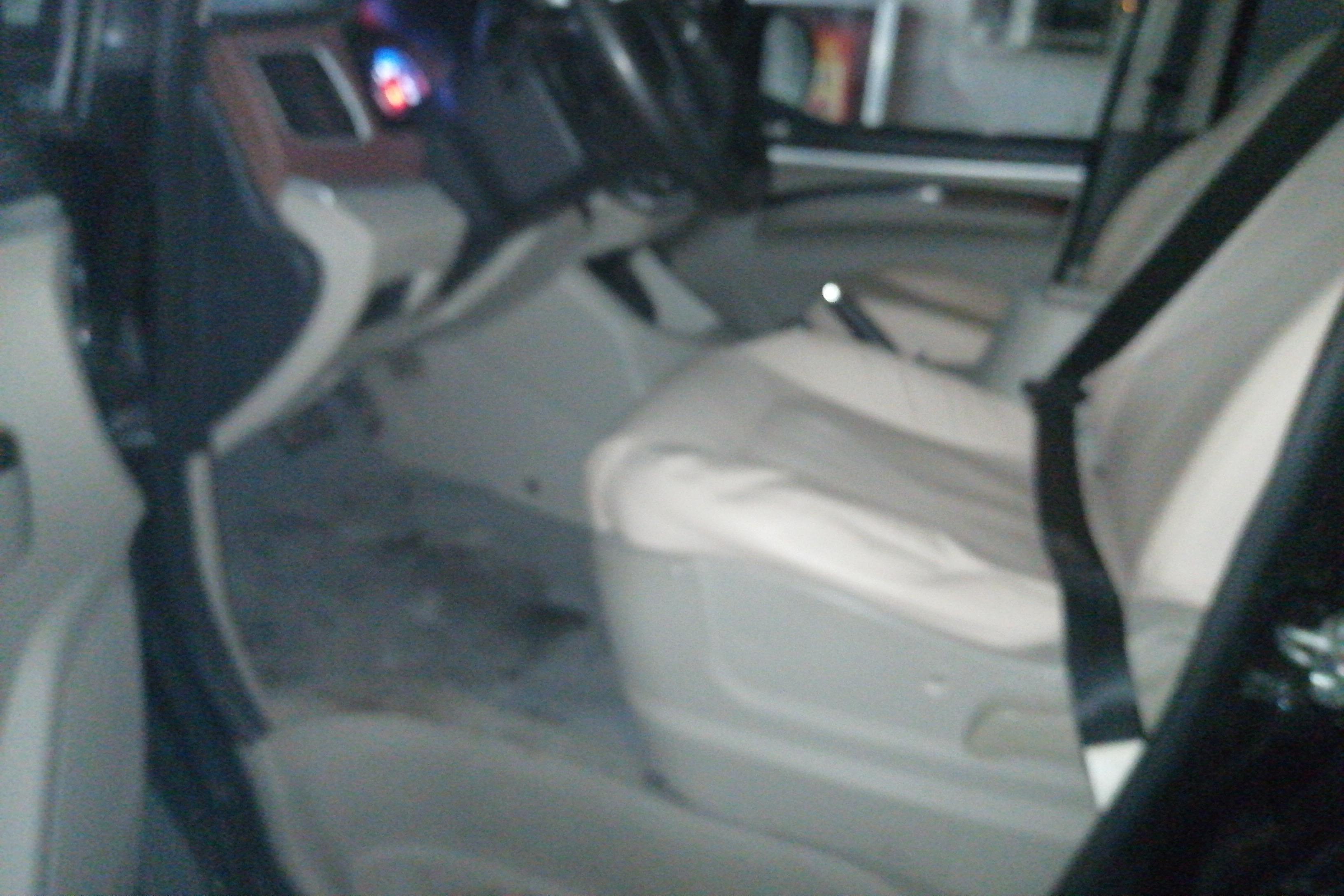 Forthing Lingzhi EV 2021 immagine di auto #23