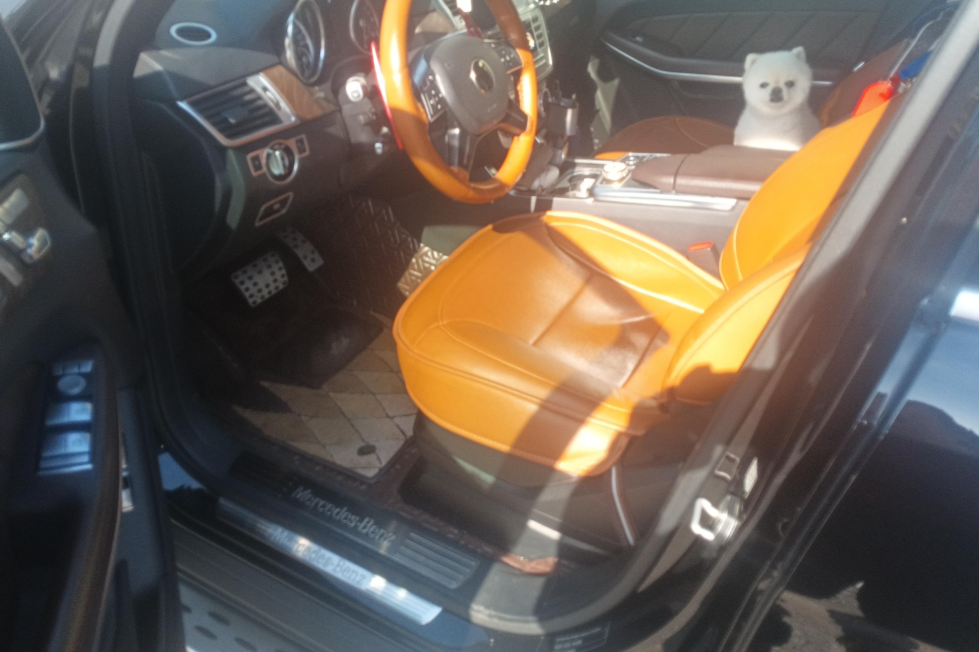 Mercedes-Benz GL Class 2017 #23 Mercedes-Benz GL Class 2017 car image #23