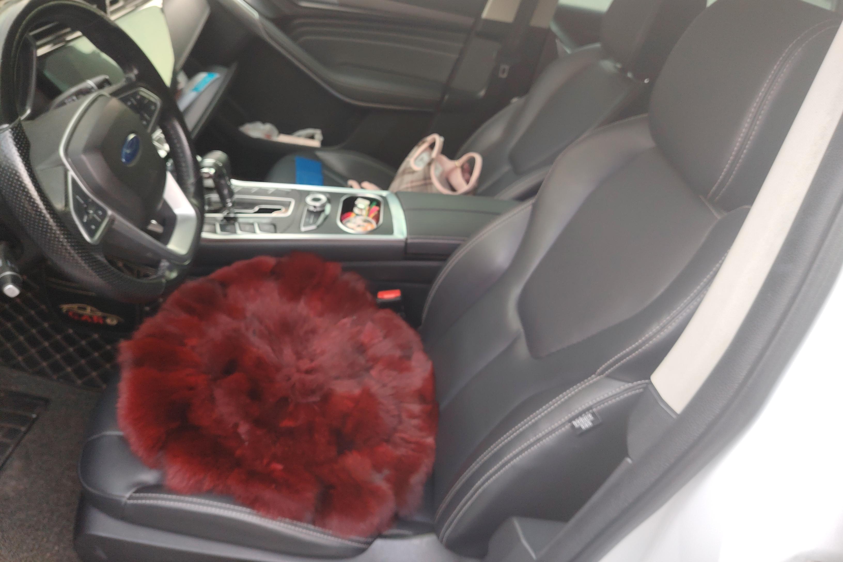 Ford Territory 2019 car image #23