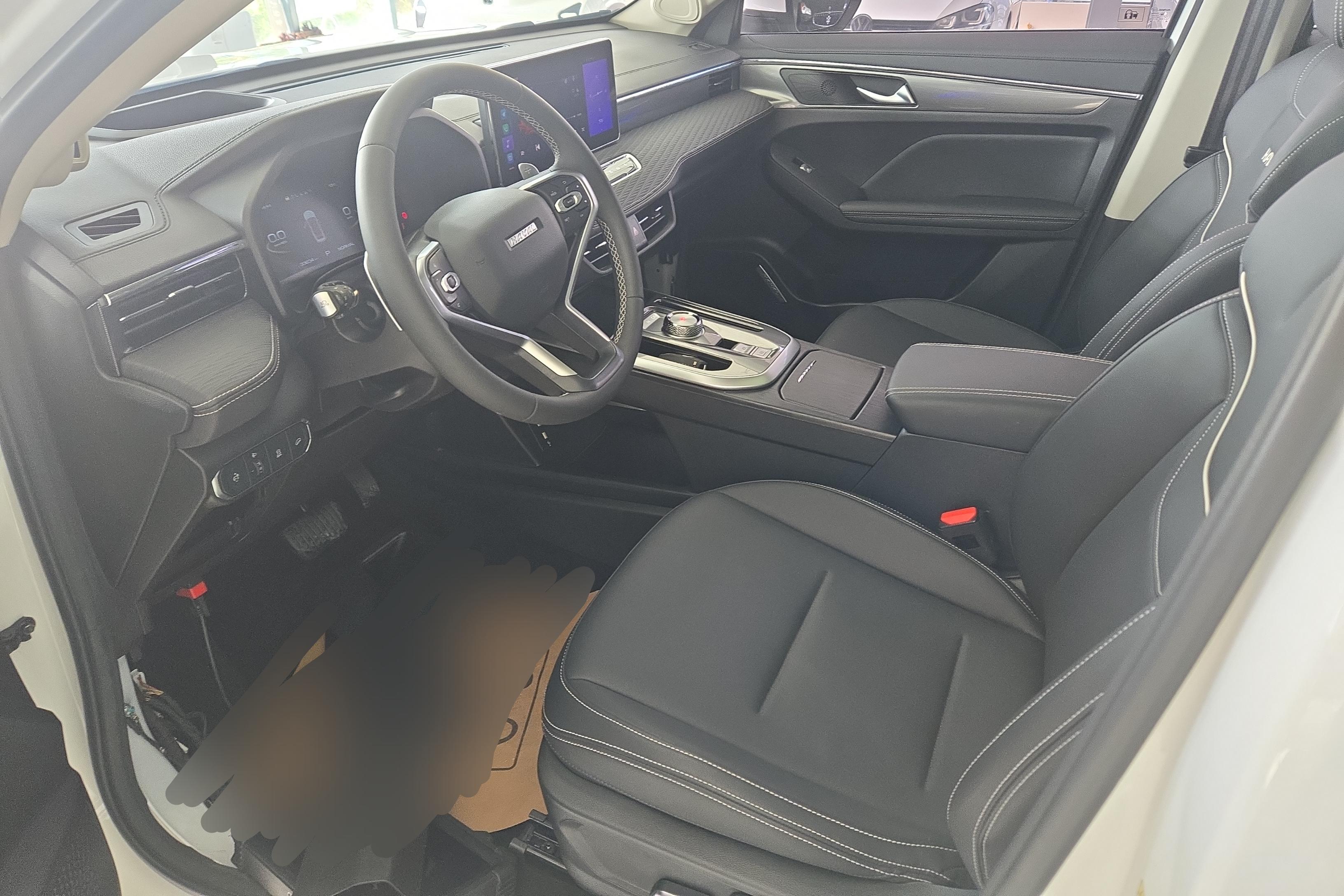 Haval Jolion 2021 car image #23