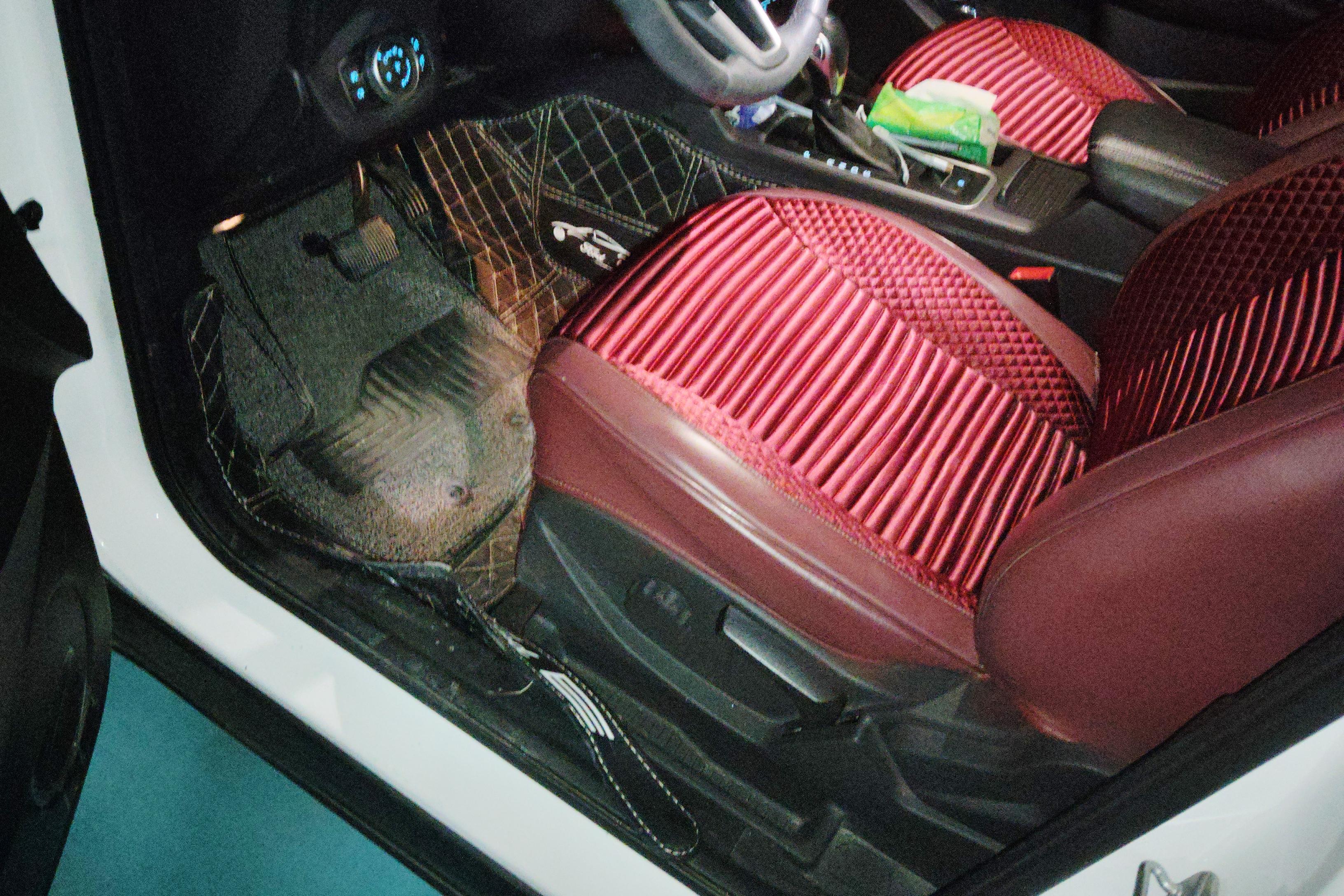 Ford Kuga 2019 #23 Ford Kuga 2019 immagine di auto #23