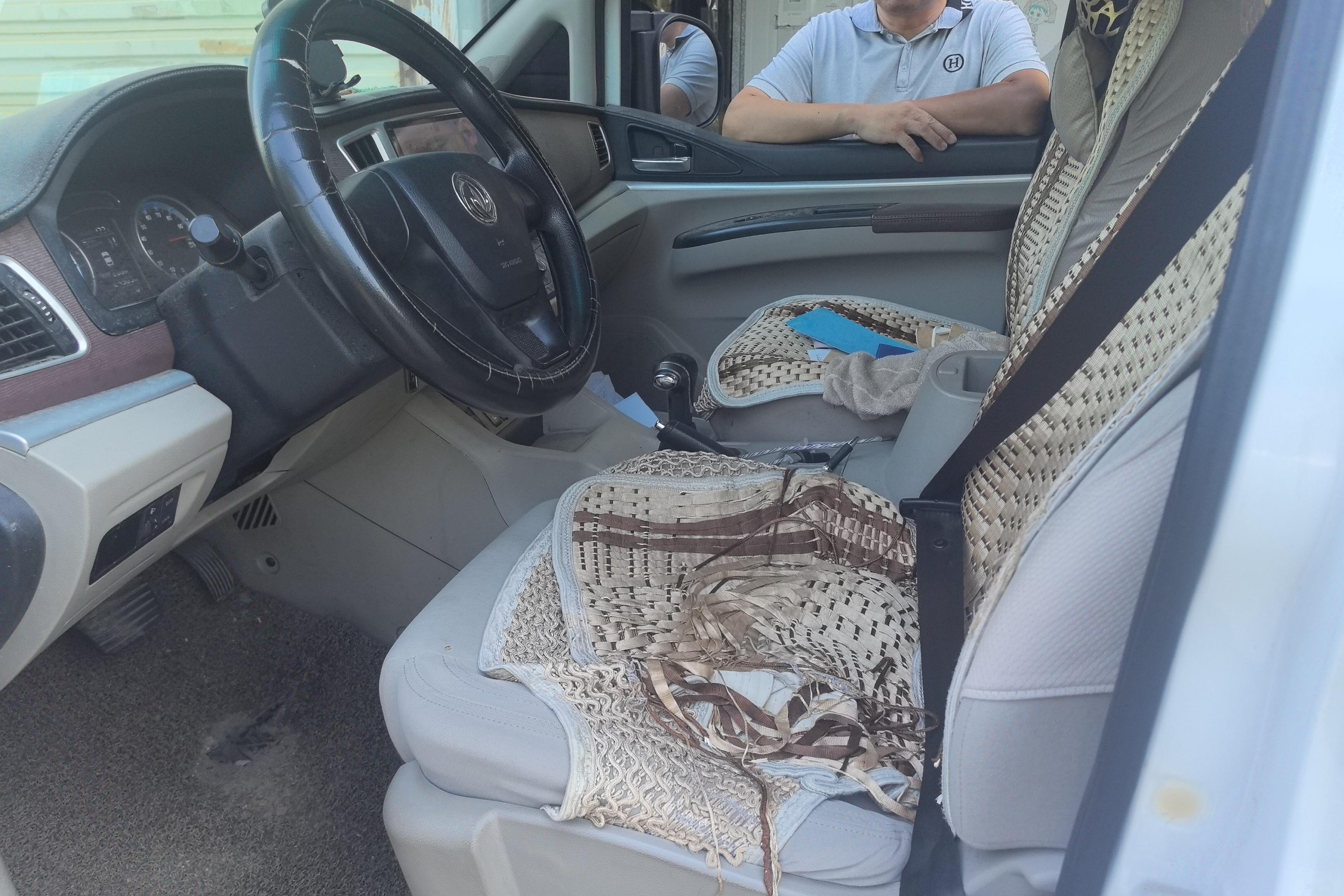 Forthing Lingzhi EV 2017 image de voiture #23