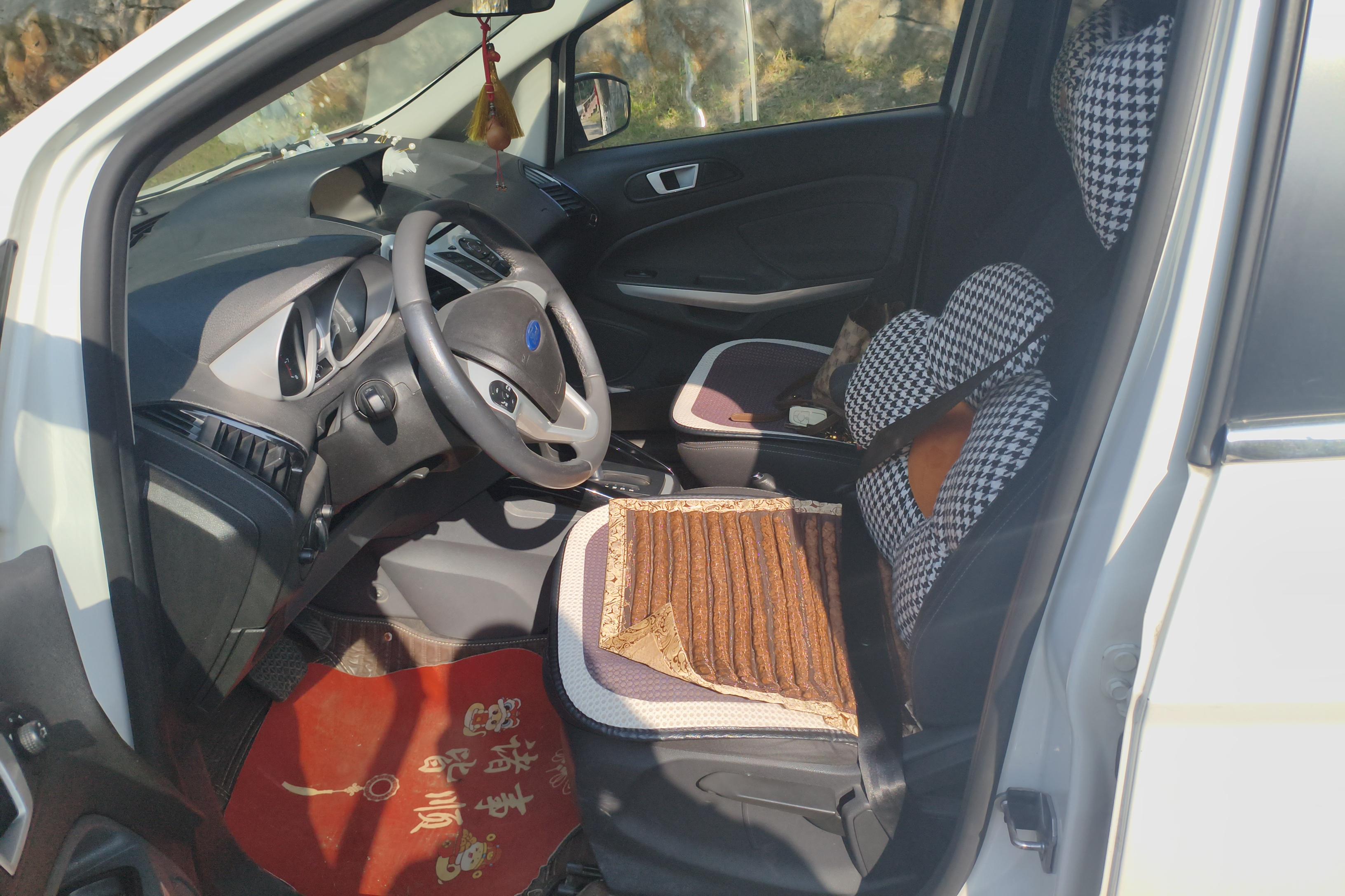 Ford EcoSport 2015 car image #23