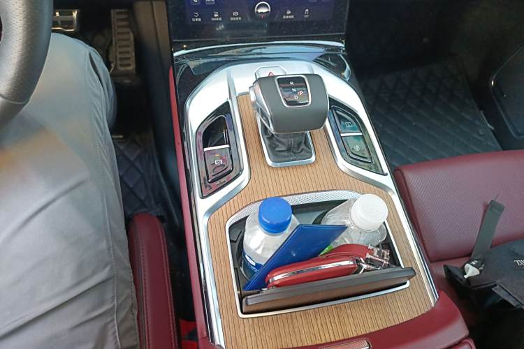 HongQi E-HS9 2023 car image #23