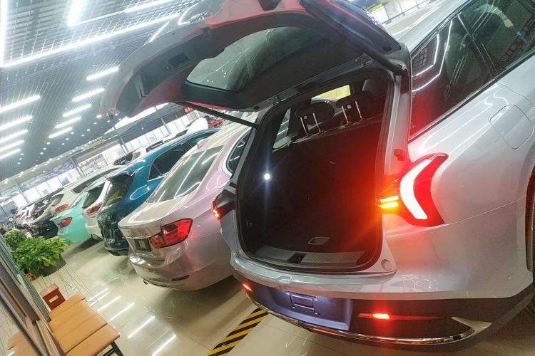 Neta L 2025 imagen de coche #23