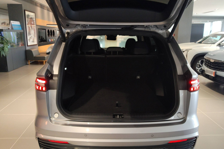 GEELY Tugella 2023 car image #23