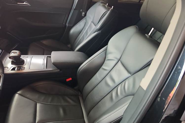 HongQi S9 2021 car image #23