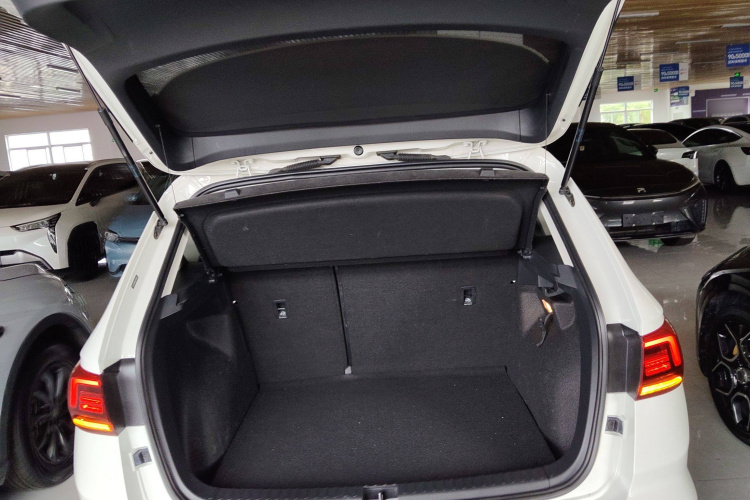 Volkswagen Tharu New Energy 2020 immagine di auto #23