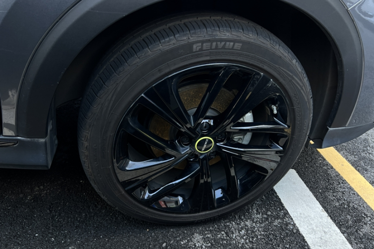 Roewe RX5 New Energy 2021 изображение автомобиля #23