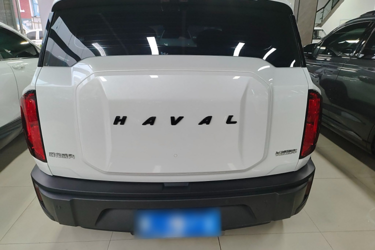 Haval Dargo 2023 car image #23