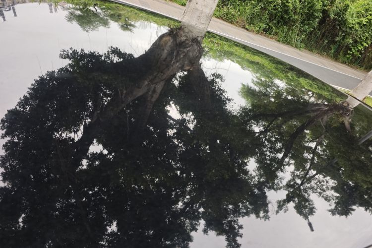 Honda Avancier 2020 #23 Honda Avancier 2020 car image #23