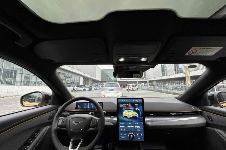 Ford Mustang Mach-E 2023 car image #23