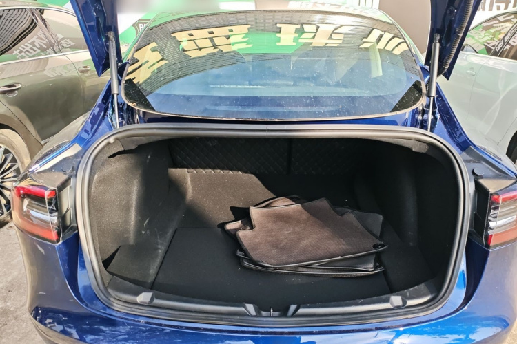 特斯拉 Model 3(进口) 2019 汽车图片 #23