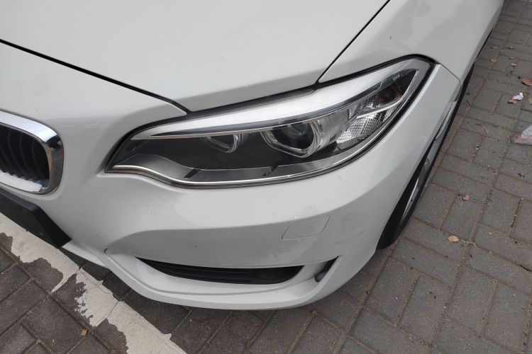 BMW 2 Series (Imported) 2016 car image #23