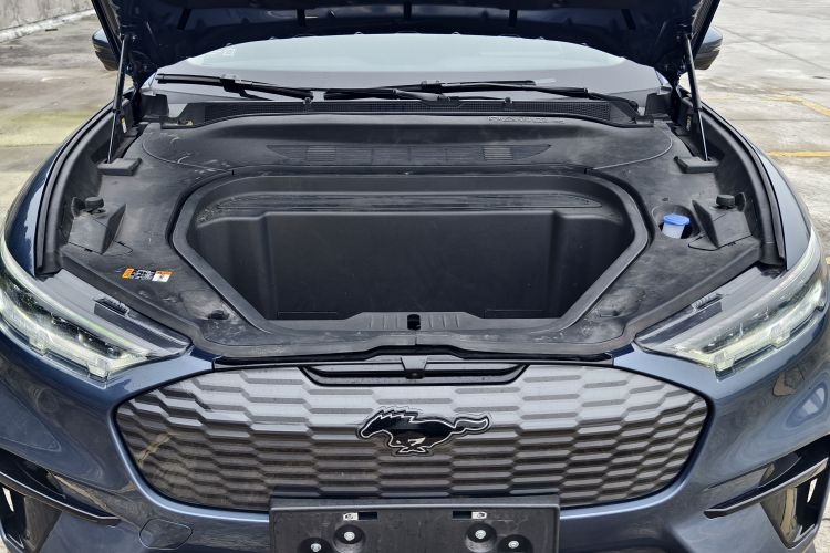 Ford Mustang Mach-E 2024 car image #23