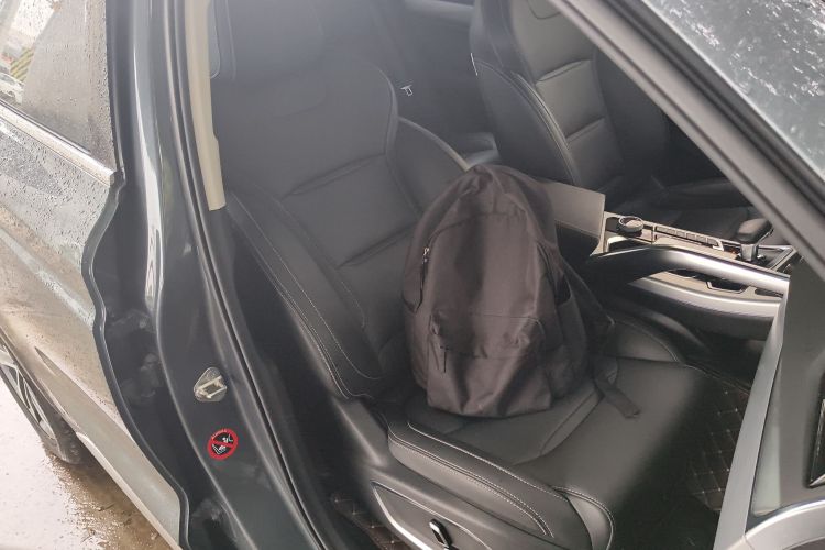 GEELY Tugella New Energy 2019 car image #23