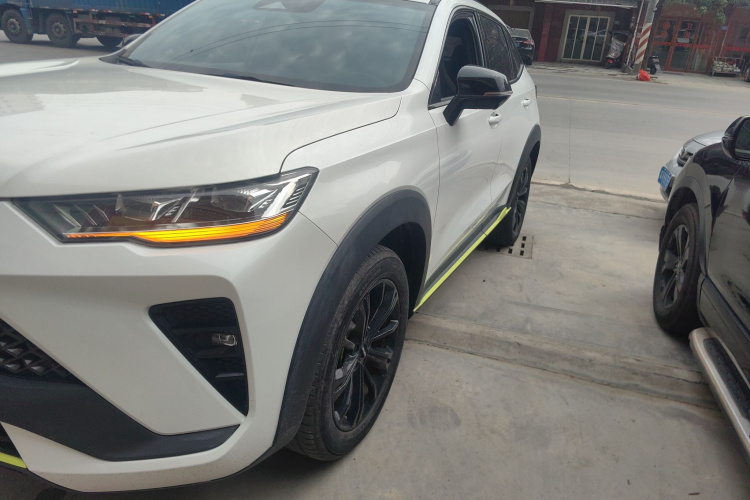 Haval H6S 2022 immagine di auto #23