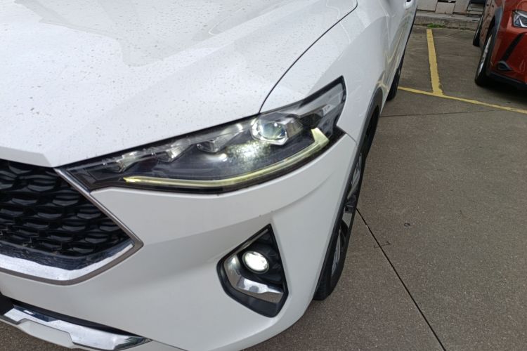 Haval F7x 2020 #23 Haval F7x 2020 car image #23