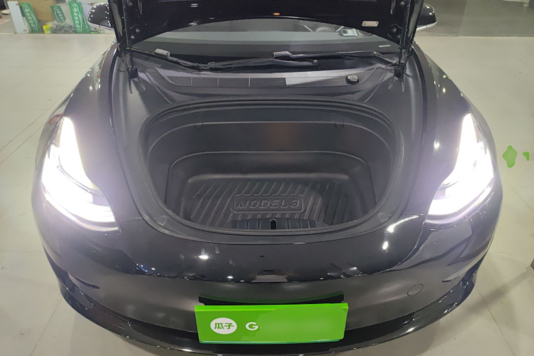 特斯拉 Model 3(进口) 2019 汽车图片 #23