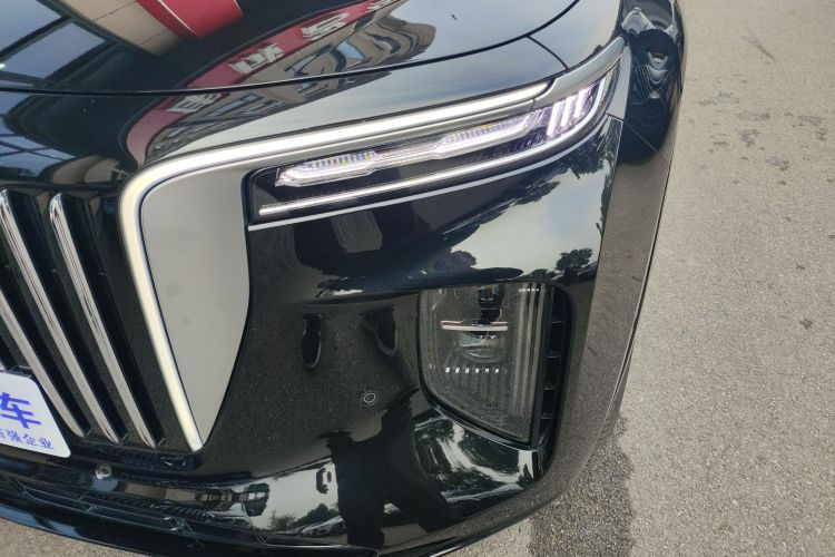 HongQi E-HS9 2022 #23 HongQi E-HS9 2022 car image #23