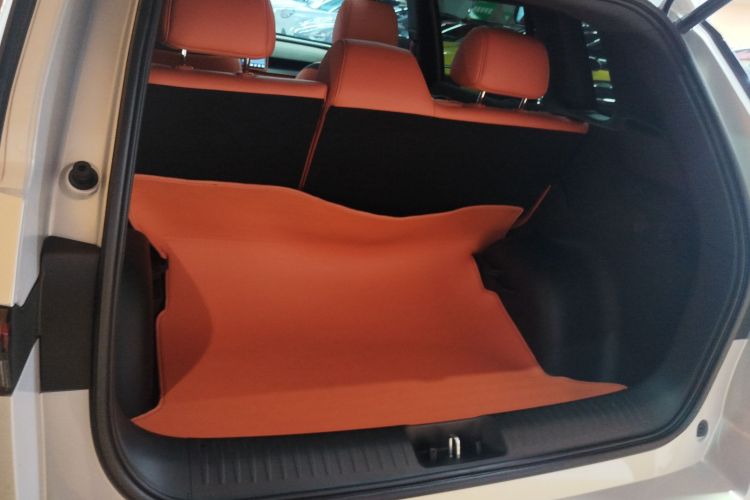 Toyota Bozhi 3X 2025 immagine di auto #23