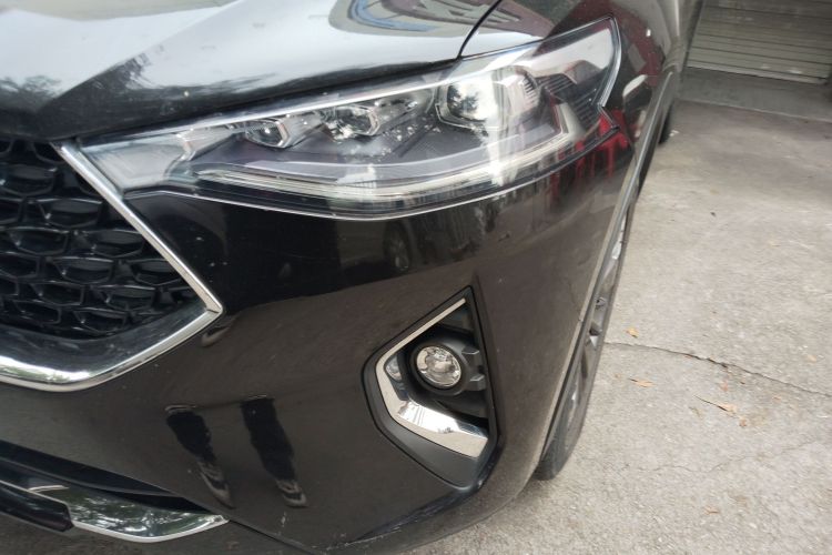 Haval F7x 2020 car image #23