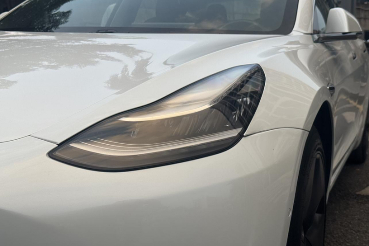 特斯拉 Model 3(进口) 2019 汽车图片 #23